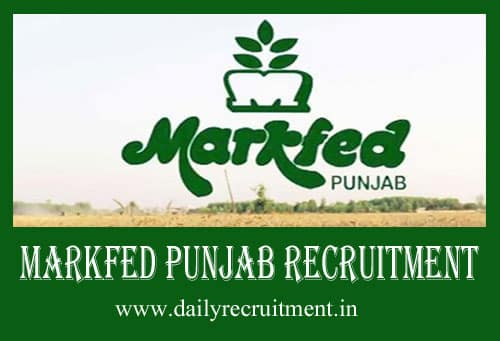 Markfed Punjab Recruitment 2019 106 Assistant Je Typist Other