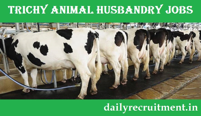 Trichy Animal Husbandry Recruitment 2019, Apply for Office Assistant &  Driver Vacancies @ 