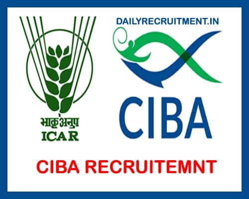 CIBA Recruitment 2024