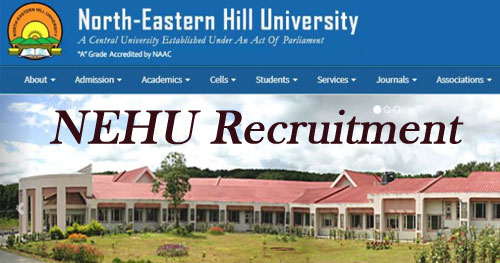 NEHU Recruitment 2019