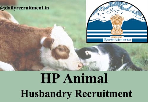 HP Animal Husbandry Recruitment 2020, Apply for 239 Attendant Vacancies @  