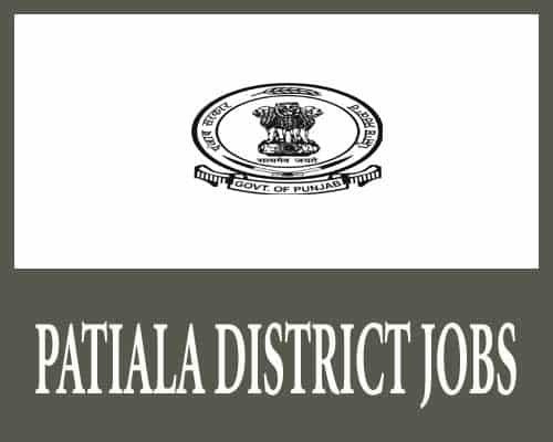 Patiala District Jobs