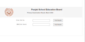Punjab Board Class 5 Result 2024